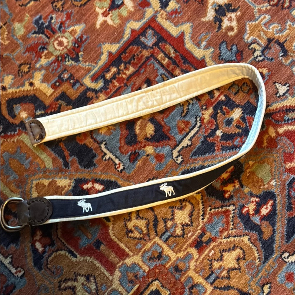 Abercrombie belt